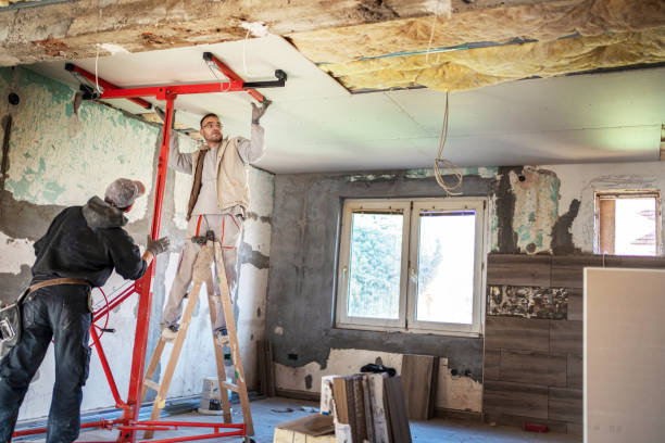 Best Eco-Friendly Insulation in Green Park, MO